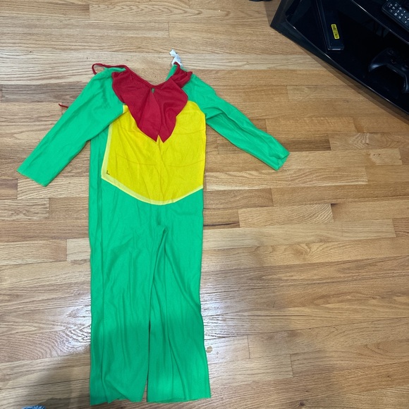 Franklin the turtle kids costume - Picture 1 of 1